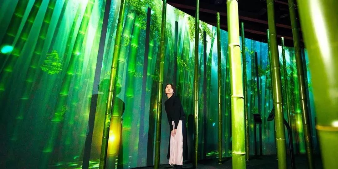沉浸式的櫻花展覽策劃驚艷了廣大游客的目光，光影互動太厲害了！