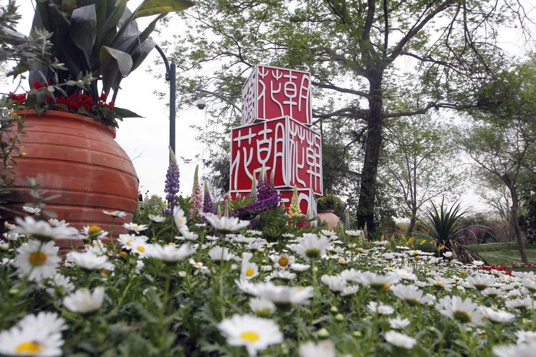 亂花漸欲迷人眼，全新西溪花朝節(jié)展覽活動(dòng)與你來一場春天的約會(huì)