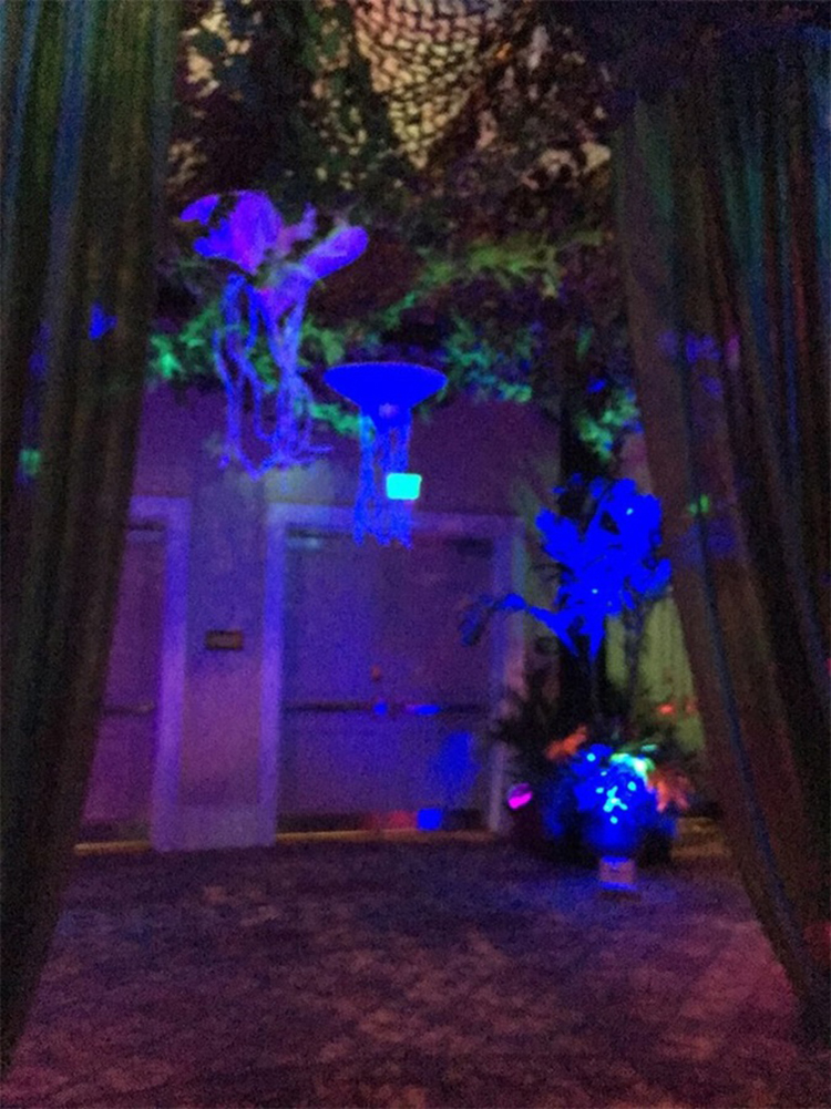 潘多拉主題派對(duì)活動(dòng)讓參會(huì)嘉賓享受了一場(chǎng)光的藝術(shù) - 第3張 - 會(huì)展活動(dòng)策劃CCASY.COM 潘多拉主題派對(duì)活動(dòng)讓參會(huì)嘉賓享受了一場(chǎng)光的藝術(shù) - 第3張