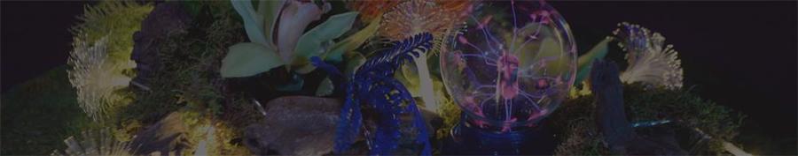 潘多拉主題派對(duì)活動(dòng)讓參會(huì)嘉賓享受了一場(chǎng)光的藝術(shù) - 第11張 - 會(huì)展活動(dòng)策劃CCASY.COM 潘多拉主題派對(duì)活動(dòng)讓參會(huì)嘉賓享受了一場(chǎng)光的藝術(shù) - 第11張