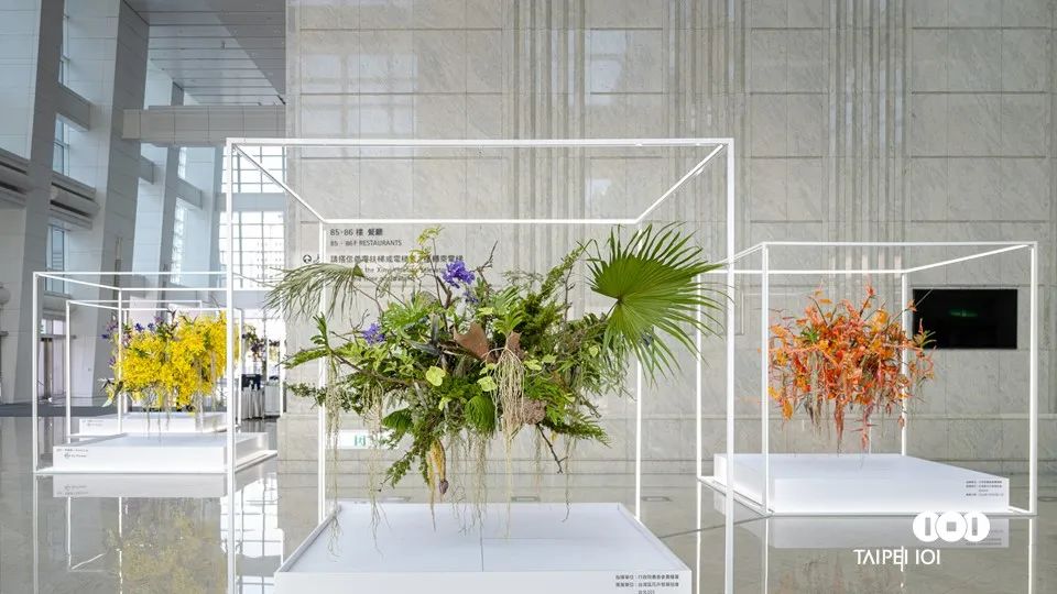臺(tái)北101主題花卉創(chuàng)作藝術(shù)展覽活動(dòng)秒變當(dāng)代美學(xué)策展場域 - 第2張 - 會(huì)展活動(dòng)策劃CCASY.COM 臺(tái)北101主題花卉創(chuàng)作藝術(shù)展覽活動(dòng)秒變當(dāng)代美學(xué)策展場域 - 第2張