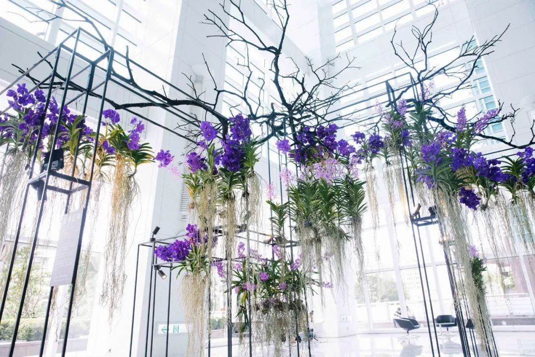 臺(tái)北101主題花卉創(chuàng)作藝術(shù)展覽活動(dòng)秒變當(dāng)代美學(xué)策展場域 - 第10張 - 會(huì)展活動(dòng)策劃CCASY.COM 臺(tái)北101主題花卉創(chuàng)作藝術(shù)展覽活動(dòng)秒變當(dāng)代美學(xué)策展場域 - 第10張