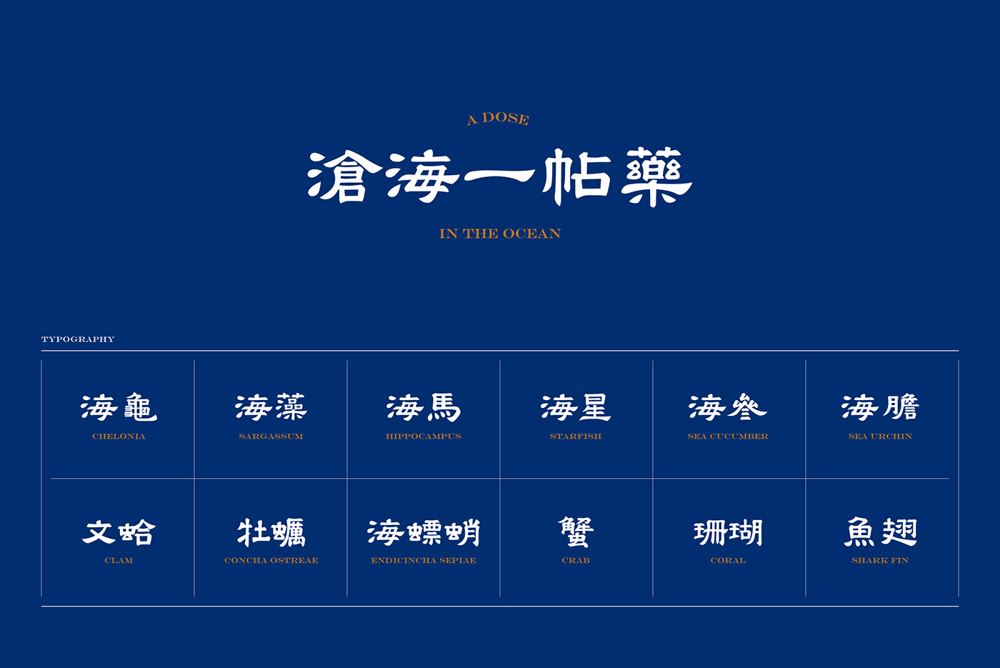 「滄海一帖藥」主題展覽活動策劃旨在治愈海洋和海洋生物 - 第2張 - 會展活動策劃CCASY.COM 「滄海一帖藥」主題展覽活動策劃旨在治愈海洋和海洋生物 - 第2張