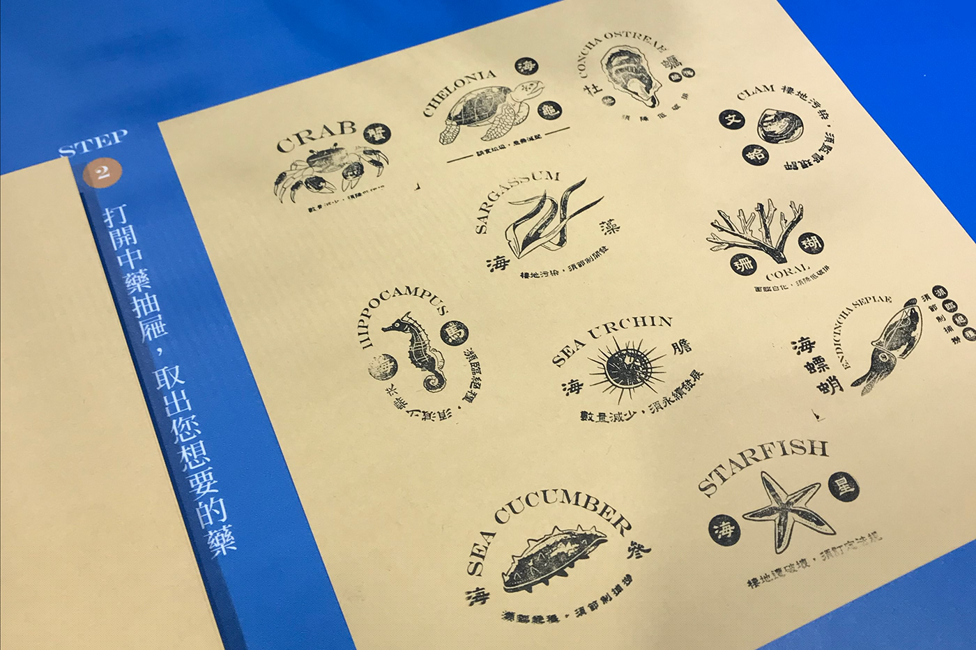 「滄海一帖藥」主題展覽活動策劃旨在治愈海洋和海洋生物 - 第11張 - 會展活動策劃CCASY.COM 「滄海一帖藥」主題展覽活動策劃旨在治愈海洋和海洋生物 - 第11張