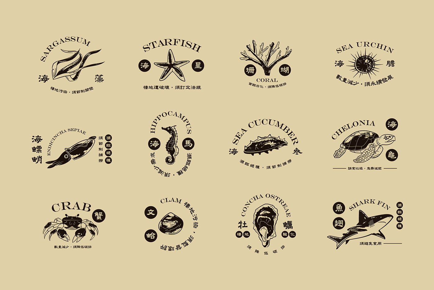 「滄海一帖藥」主題展覽活動策劃旨在治愈海洋和海洋生物 - 第12張 - 會展活動策劃CCASY.COM 「滄海一帖藥」主題展覽活動策劃旨在治愈海洋和海洋生物 - 第12張