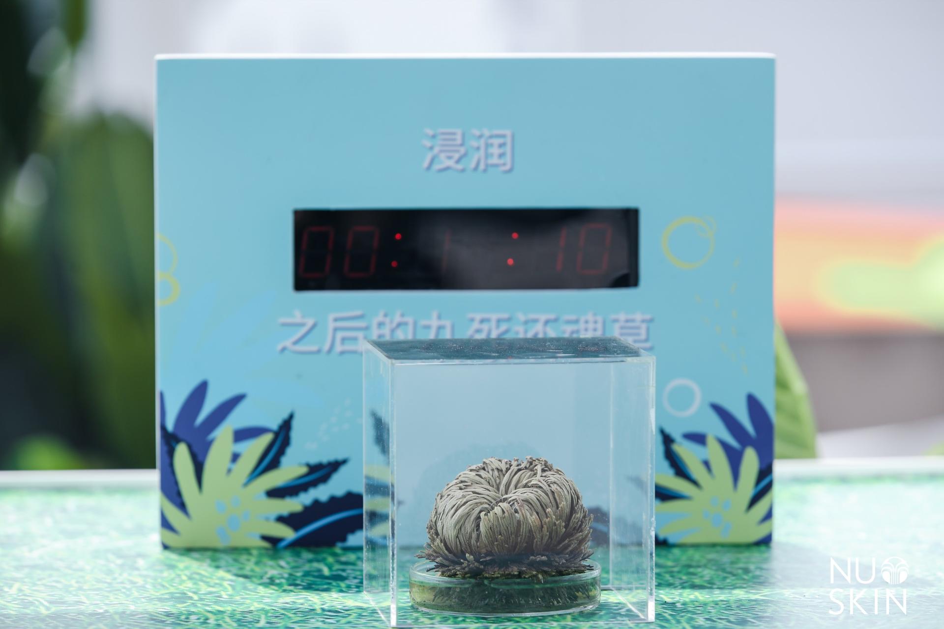 如新超級(jí)年會(huì)活動(dòng)策劃以年輕人喜歡的方式點(diǎn)燃了全場(chǎng)激情 - 第28張 - 會(huì)展活動(dòng)策劃CCASY.COM 如新超級(jí)年會(huì)活動(dòng)策劃以年輕人喜歡的方式點(diǎn)燃了全場(chǎng)激情 - 第28張