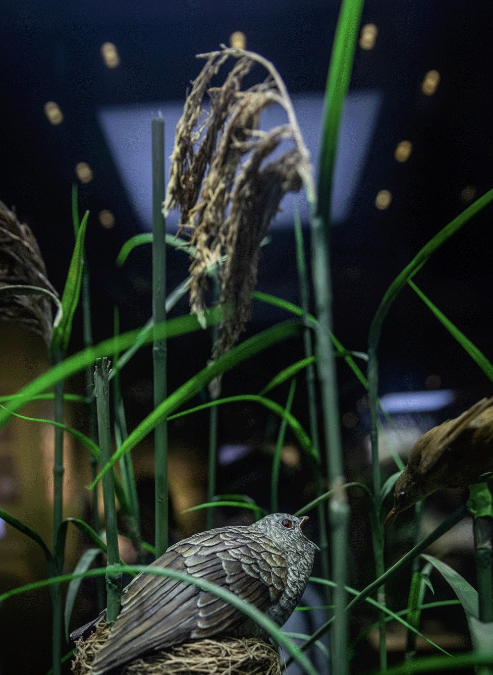 聽說歐萊雅中國“多樣星球”狂歡派對活動策劃聚集了一群「夜行動物」 - 第1張 - 會展活動策劃CCASY.COM 聽說歐萊雅中國“多樣星球”狂歡派對活動策劃聚集了一群「夜行動物」 - 第1張