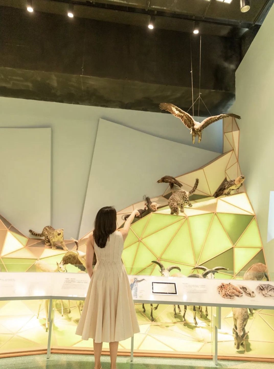 聽說歐萊雅中國“多樣星球”狂歡派對活動策劃聚集了一群「夜行動物」 - 第7張 - 會展活動策劃CCASY.COM 聽說歐萊雅中國“多樣星球”狂歡派對活動策劃聚集了一群「夜行動物」 - 第7張