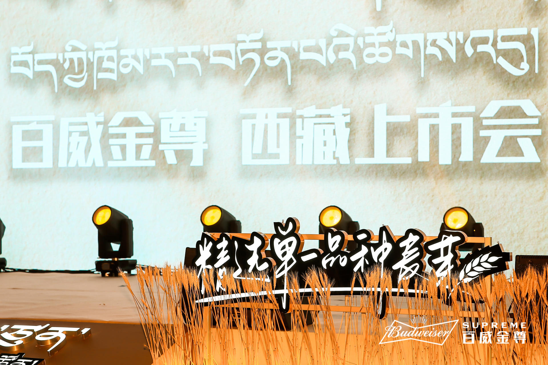 百威金尊西藏上市發(fā)布會活動策劃用心定制，現(xiàn)場麥芽裝飾盡享豐收