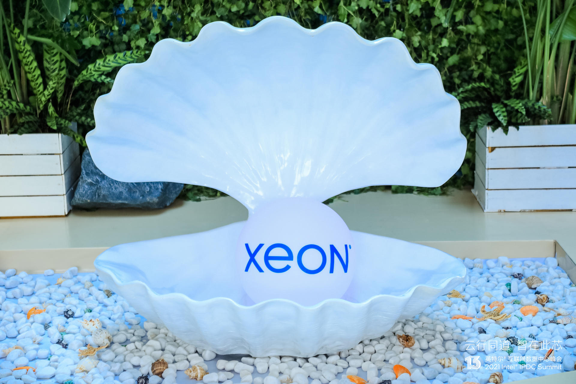 英特爾互聯(lián)網(wǎng)數(shù)據(jù)中心峰會活動策劃解鎖 “芯” 憧憬，織就新 “云” 圖