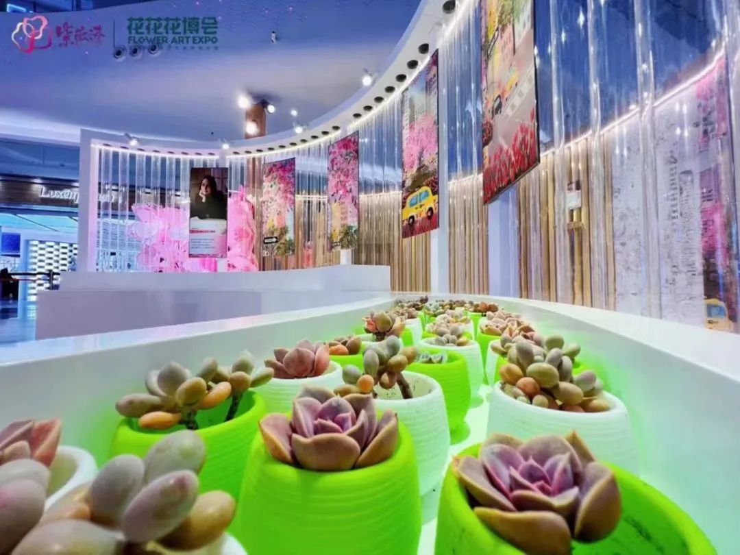打卡花花·花博會(huì)2.0活動(dòng)策劃，朋友圈分分鐘C位出道