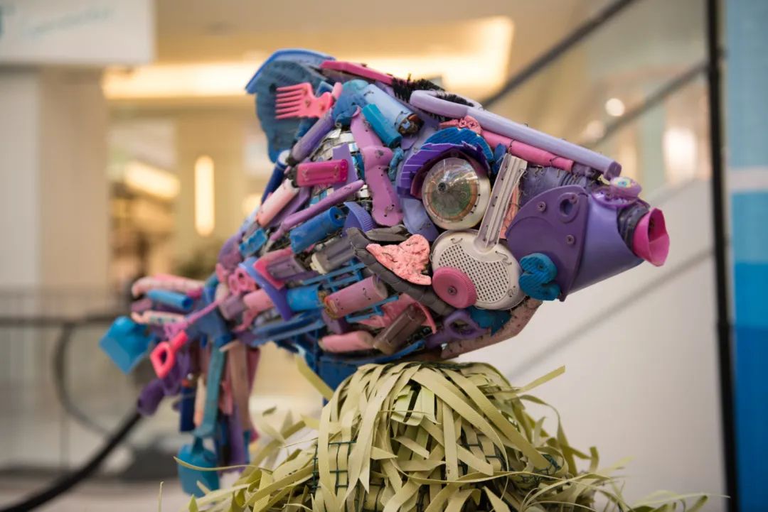 海洋垃圾藝術(shù)展覽活動策劃的每一件作品都讓人驚嘆不已！