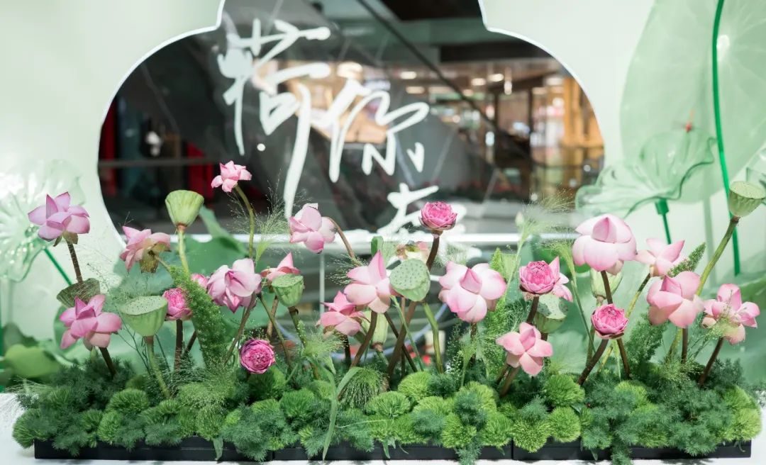 廣州天河城26周年全真荷花主題展覽活動(dòng)策劃打造了一片新奇的消暑之地 - 第16張 - 會(huì)展活動(dòng)策劃CCASY.COM 廣州天河城26周年全真荷花主題展覽活動(dòng)策劃打造了一片新奇的消暑之地 - 第16張