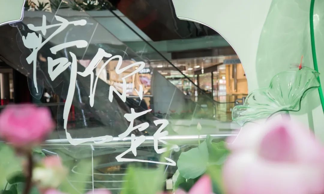 廣州天河城26周年全真荷花主題展覽活動(dòng)策劃打造了一片新奇的消暑之地 - 第18張 - 會(huì)展活動(dòng)策劃CCASY.COM 廣州天河城26周年全真荷花主題展覽活動(dòng)策劃打造了一片新奇的消暑之地 - 第18張