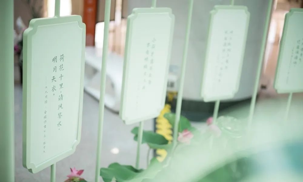 廣州天河城26周年全真荷花主題展覽活動(dòng)策劃打造了一片新奇的消暑之地 - 第5張 - 會(huì)展活動(dòng)策劃CCASY.COM 廣州天河城26周年全真荷花主題展覽活動(dòng)策劃打造了一片新奇的消暑之地 - 第5張