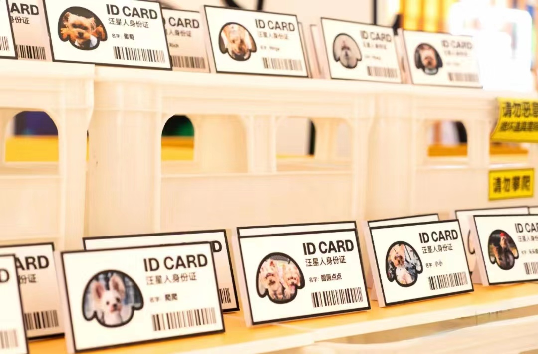 “寵愛(ài)游園會(huì)”全國(guó)首展活動(dòng)策劃現(xiàn)場(chǎng)超超超級(jí)出片 - 第12張 - 會(huì)展活動(dòng)策劃CCASY.COM “寵愛(ài)游園會(huì)”全國(guó)首展活動(dòng)策劃現(xiàn)場(chǎng)超超超級(jí)出片 - 第12張