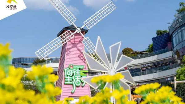 向往生活季·HFAMILY全國(guó)首展活動(dòng)策劃太治愈了，超萬(wàn)株油菜花好治愈