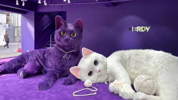 Nerdy首爾巨喵快閃店活動策劃瞬間點(diǎn)燃你的少女心