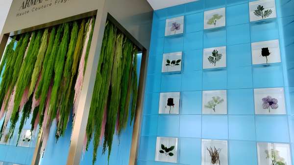 阿瑪尼「巖蘭綠洲」快閃店活動策劃邀您循香入境，回歸純粹內(nèi)心