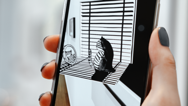 「有貓病」關(guān)于貓的奇怪個(gè)展活動(dòng)策劃是既奇趣溫暖又無厘頭的想象空間