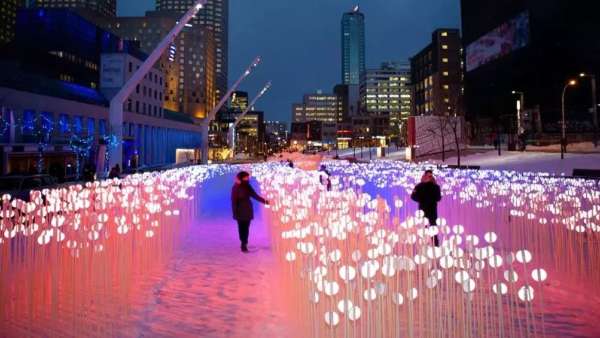 28000個白色水晶莖的燈光秀展覽活動，反思人類與自然環(huán)境的關(guān)系