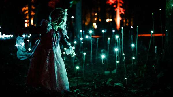 燈光秀藝術(shù)展覽活動領(lǐng)我們冬天在沉浸式森林一起漫步，走起！