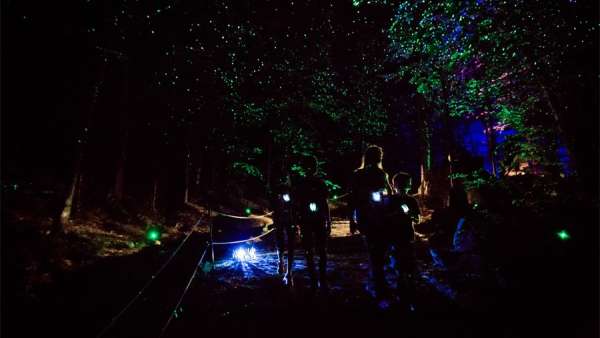 一場夜間冒險展覽活動悄然亮相，策劃形式更具挑戰(zhàn)性