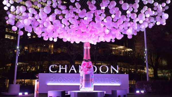 如此觀賞性極強的氣泡櫻花展覽活動，不走步一波太對不住它的美