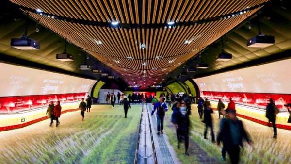 稻夢(mèng)空間快閃店活動(dòng)刷新了上海徐家匯地鐵通道，世外稻源原來如此