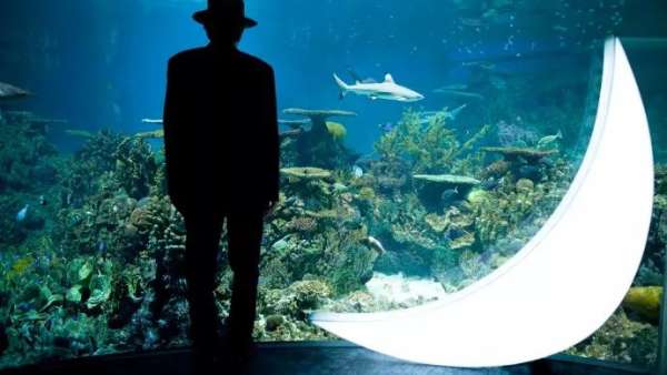 中秋節(jié)的展覽活動藝術裝置創(chuàng)意看這里，中秋節(jié)你就是這條街最靚的“仔”