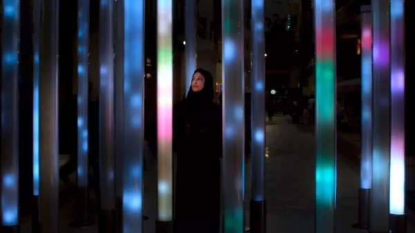 百鳥匯集的沉浸式展覽活動(dòng)讓人耳目一新，大自然的鳥舍原來如此