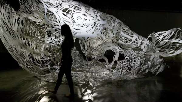 1:1比例的紙雕藝術(shù)展覽活動(dòng)震驚了現(xiàn)場(chǎng)，隱藏之美等你來(lái)悟