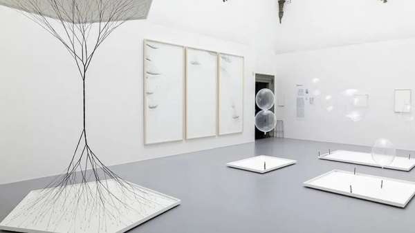 這樣的大型展覽活動(dòng)從藝術(shù)、社會(huì)到生命科學(xué)，多學(xué)科實(shí)踐的涵蓋在內(nèi)