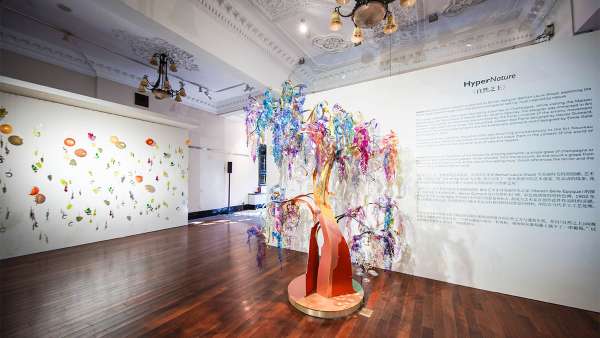 魅力香檳打造限時藝術(shù)快閃展覽活動空間，沉浸式感官體驗更精致