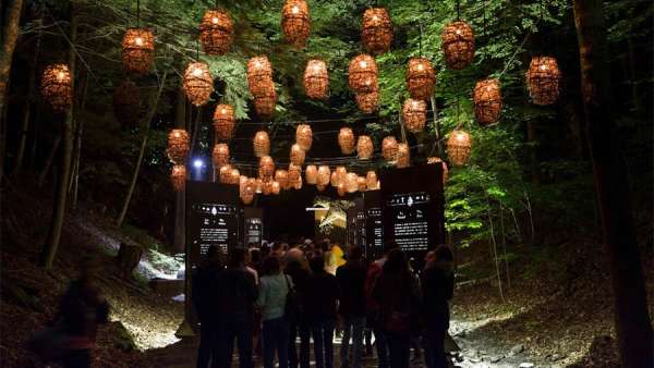 身臨其境的冒險活動派對，幻光森林的感官體驗無與倫比