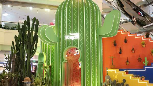 仙人掌主題會展活動帶你“漲姿勢”啦，“仙”境之旅開啟咯