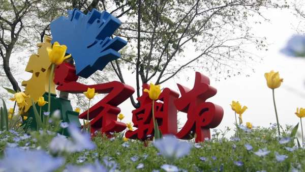 亂花漸欲迷人眼，全新西溪花朝節(jié)展覽活動(dòng)與你來(lái)一場(chǎng)春天的約會(huì)