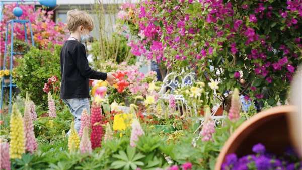 300㎡神仙級的治愈展覽活動已備好，就等你來打卡