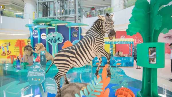 禮遇自然沉浸式展覽活動(dòng)上，兩只強(qiáng)壯的非洲獅正在打斗，萌趣又吸睛