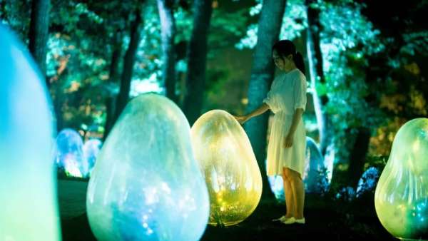 橡子森林被展覽活動刷成光之藝術(shù)空間,57種液化光色真美