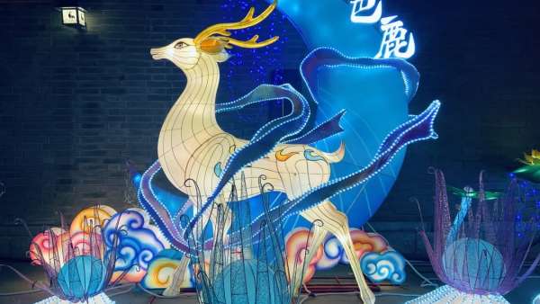 蘭州老街年味市集活動(dòng)策劃正式亮燈，年味十足