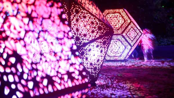 新普利茅斯燈光節(jié)活動(dòng)策劃將Pukekura公園變成了光影世界，魔幻