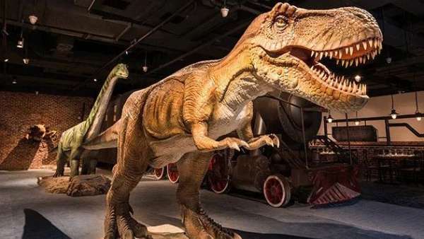 潮流爬寵動物主題展覽活動策劃的三大沉浸式展區(qū)，讓人直呼過癮