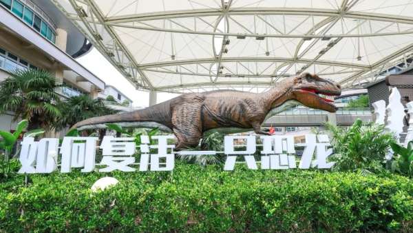 「如何復(fù)活一只恐龍」公益展覽活動策劃一秒就置身侏羅紀時代