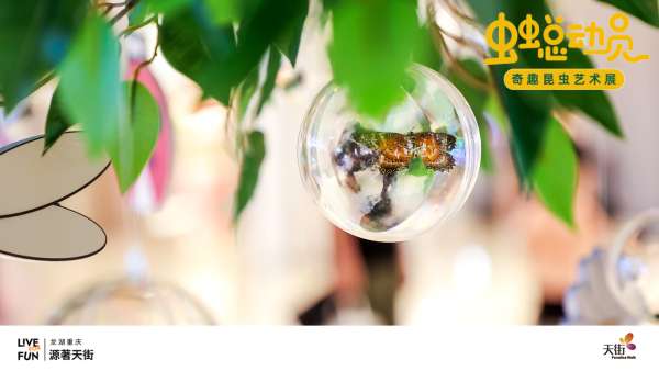 「蟲(chóng)蟲(chóng)總動(dòng)員」奇趣昆蟲(chóng)藝術(shù)展活動(dòng)策劃讓你愛(ài)上大自然